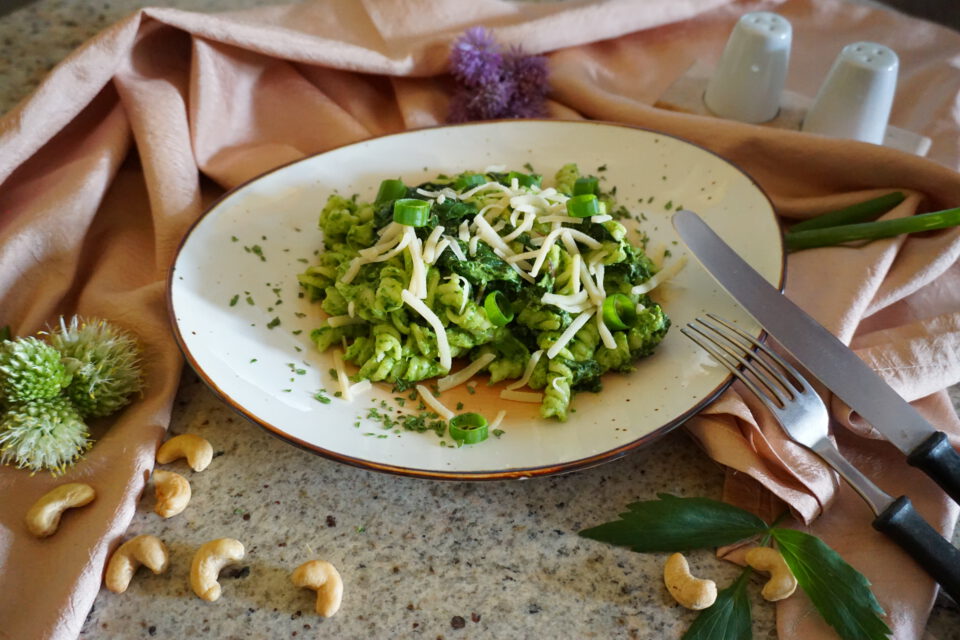 Fertiges Nudel Rezept mit Mangold und Petersiliensoße