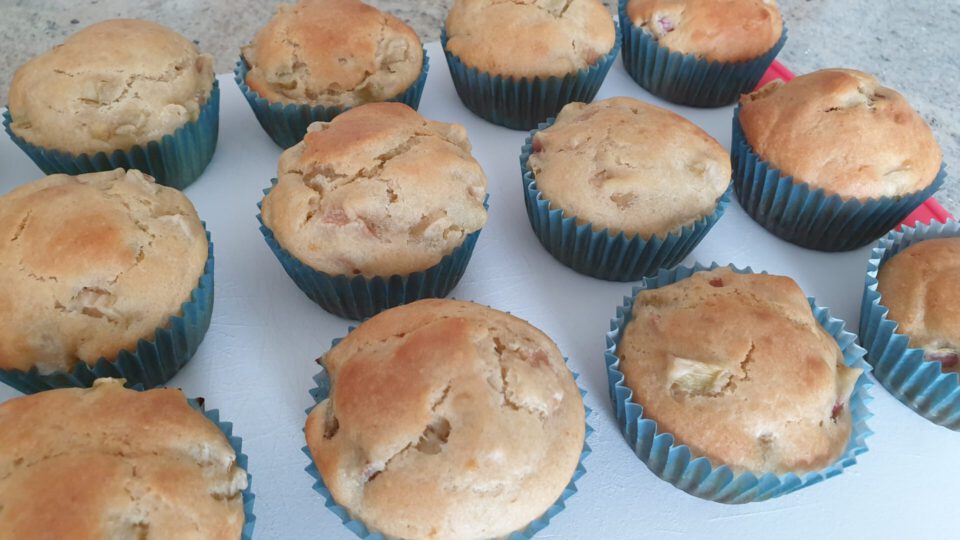 vegane rhabarber muffins frisch gebacken aus dem ofen