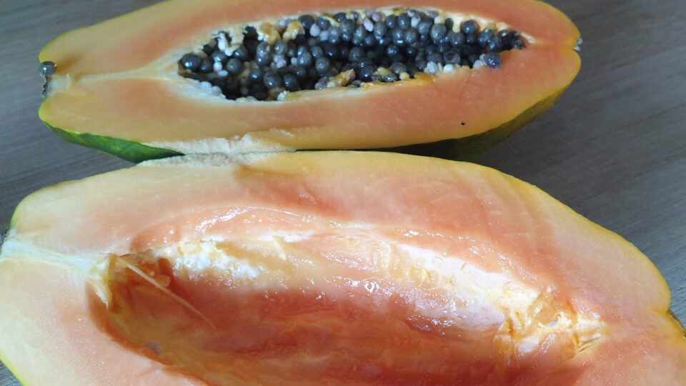 bulgurdessert papaya auslöffeln, kerne entfernen